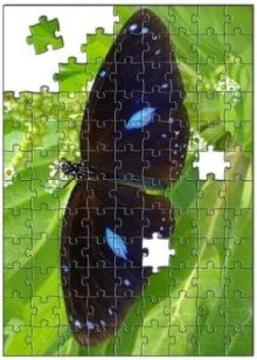Jigsaw Puzzle - Nature Chitra Paheli / Pic Riddle游戲截圖1