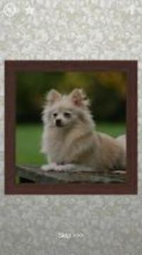 Puppies Puzzles - 100 Pictures游戲截圖3