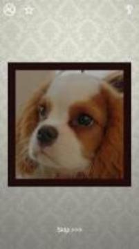 Puppies Puzzles - 100 Pictures游戲截圖2