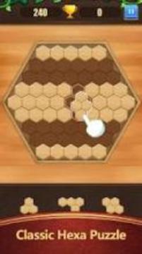 Block Puzzle Game Classic游戲截圖2