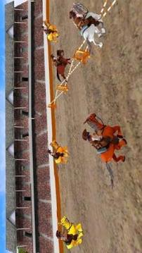 Horse Game With Arabian Horse游戲截圖2