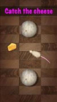 Games for Cat mouse on screen游戲截圖3