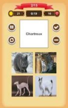 Cats Quiz游戲截圖1