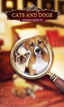 Home Sweet Home Hidden Objects游戲截圖1