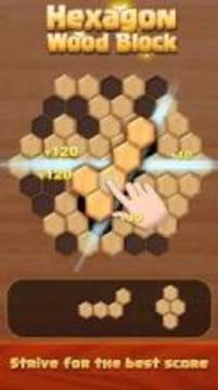 Hexagon Wood Block Puzzle游戲截圖4