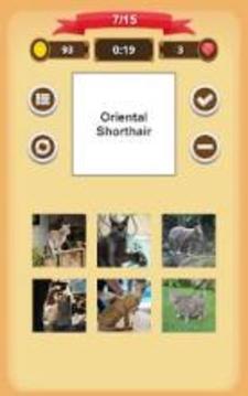 Cats Quiz游戲截圖2
