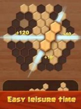 Hexagon Wood Block Puzzle游戲截圖2