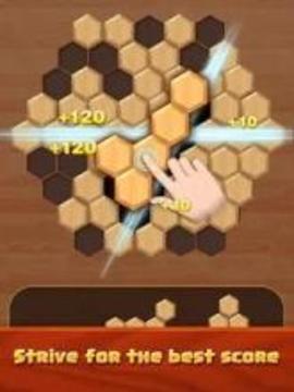 Hexagon Wood Block Puzzle游戲截圖1