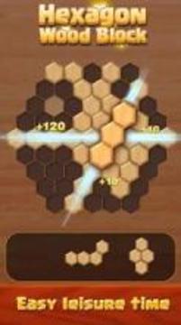 Hexagon Wood Block Puzzle游戲截圖5