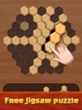 Hexagon Wood Block Puzzle游戲截圖3