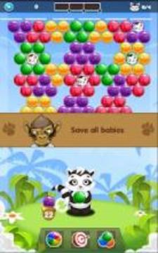 Raccoon Bubble Legend游戲截圖1