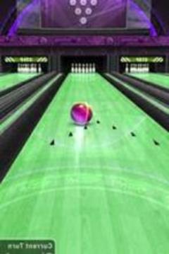 Bowling 3d Free游戏截图4