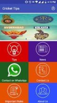 Cricket Prediction and Tips游戲截圖3