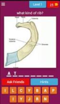 Anatomy Puzzle游戲截圖3