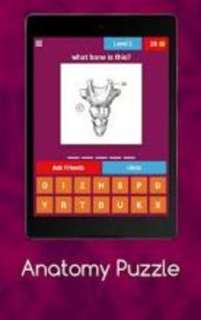 Anatomy Puzzle游戲截圖2