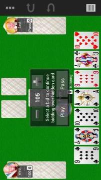 Collection of card games游戏截图2