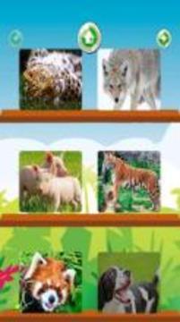 Zoo Animal Puzzle Jigsaw游戲截圖2