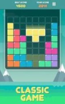 Pro Block Puzzles游戲截圖3