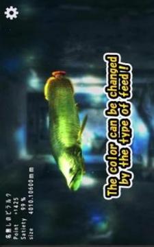 Pirarucu rising from fry游戲截圖1
