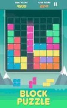 Pro Block Puzzles游戲截圖4