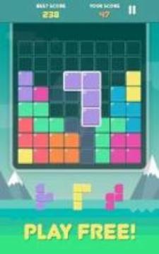 Pro Block Puzzles游戲截圖2