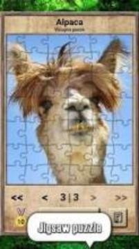 Animal Kingdom - Quiz Game游戲截圖2
