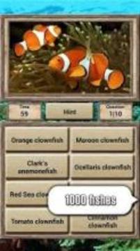 Animal Kingdom - Quiz Game游戲截圖5