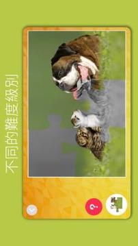 可愛的狗和貓拼圖游戲截圖4