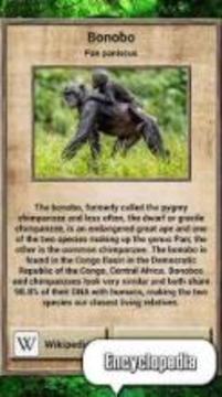 Animal Kingdom - Quiz Game游戲截圖4
