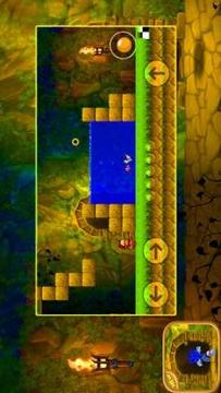 SUPER jungle sonic jumping游戲截圖3