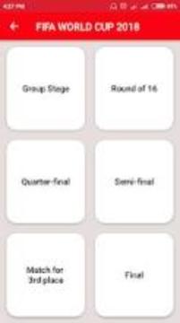 Fifa World Cup Russia 2018 Time Schedule游戲截圖4