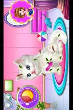Cute Kitty care game游戲截圖4