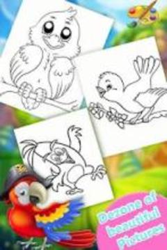 Birds Coloring Book 2018! Free Paint Game游戲截圖5