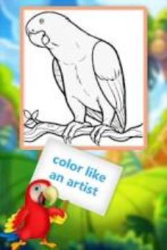 Birds Coloring Book 2018! Free Paint Game游戲截圖1