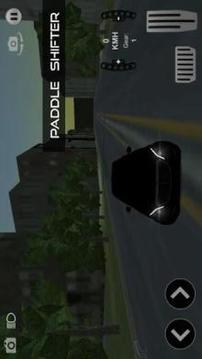 RRO Drive 3D游戲截圖4