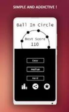 Ball In Circle - Best Arcade ball shooting game游戲截圖4