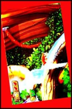 Hint Donkey kong country游戲截圖1