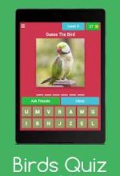 Birds Quiz : Guess The Birds游戲截圖3