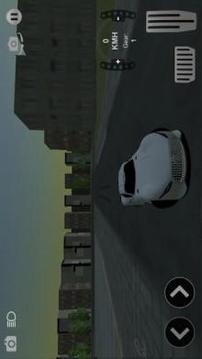 RRO Drive 3D游戲截圖1