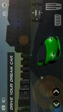 RRO Drive 3D游戲截圖3