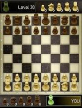 Chess Offline - Catur游戲截圖2
