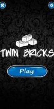 Twin Bricks游戲截圖3