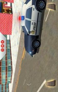 Police Car : City Criminal Chase Driving Simulator游戏截图3