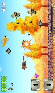 飛鳥突襲 Bird Attack游戲截圖4