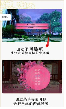 桃花情游戲截圖2