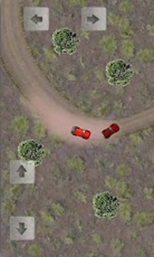 崎嶇拉力賽 Rugged Rally游戲截圖2