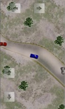 崎嶇拉力賽 Rugged Rally游戲截圖5