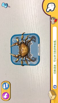 口袋動(dòng)物園2游戲截圖3