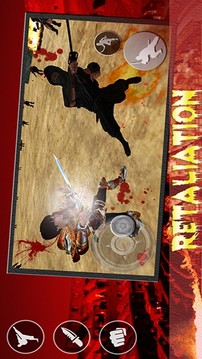 武士刺客劍斗戰(zhàn)游戲截圖3