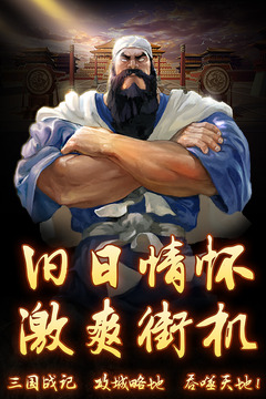 名將戰(zhàn)紀(jì)游戲截圖2